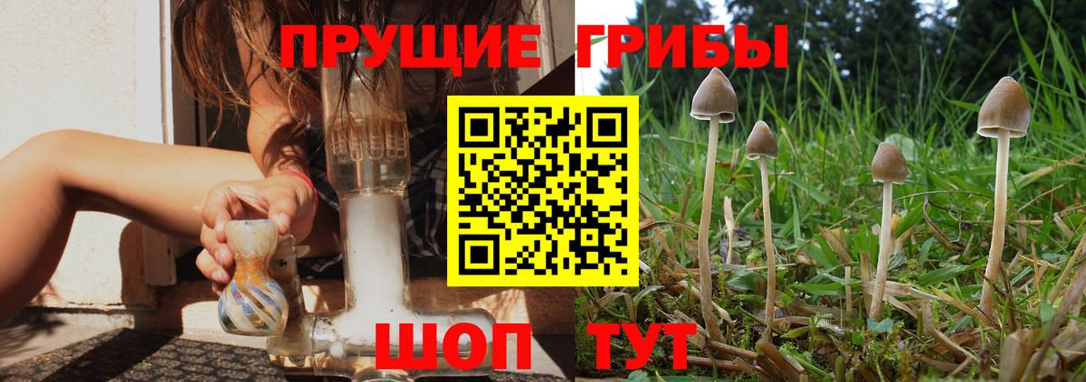 Псилоцибиновые грибы прущие грибы  закладка  Кизляр  Вход с VPN 